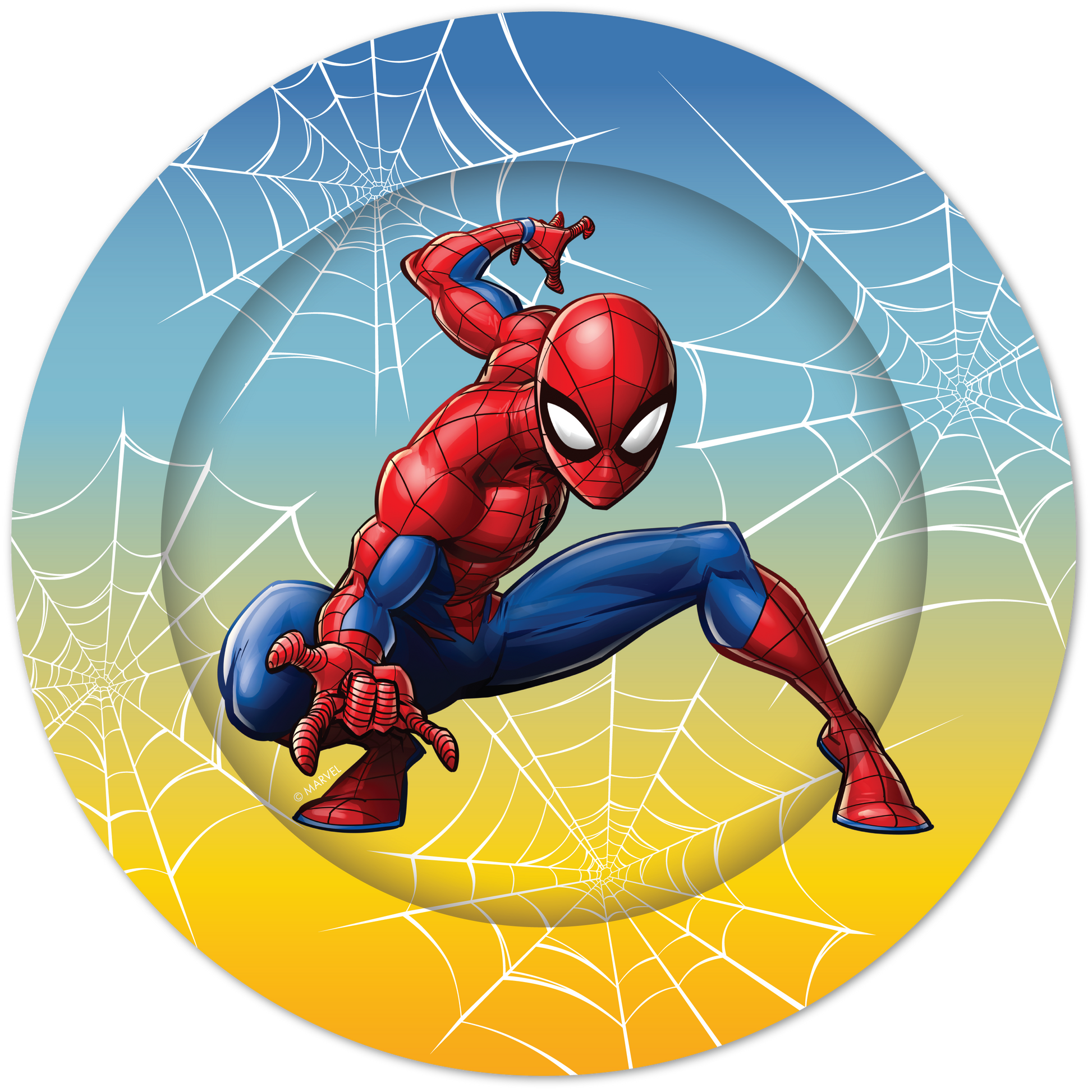 Black Paper Plates 23cm 8 Pack - Spider-Man Themed Parties