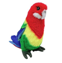 Eco Rosella 20cm
