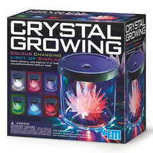 4M Crystal Growing Colour Changing Display Case