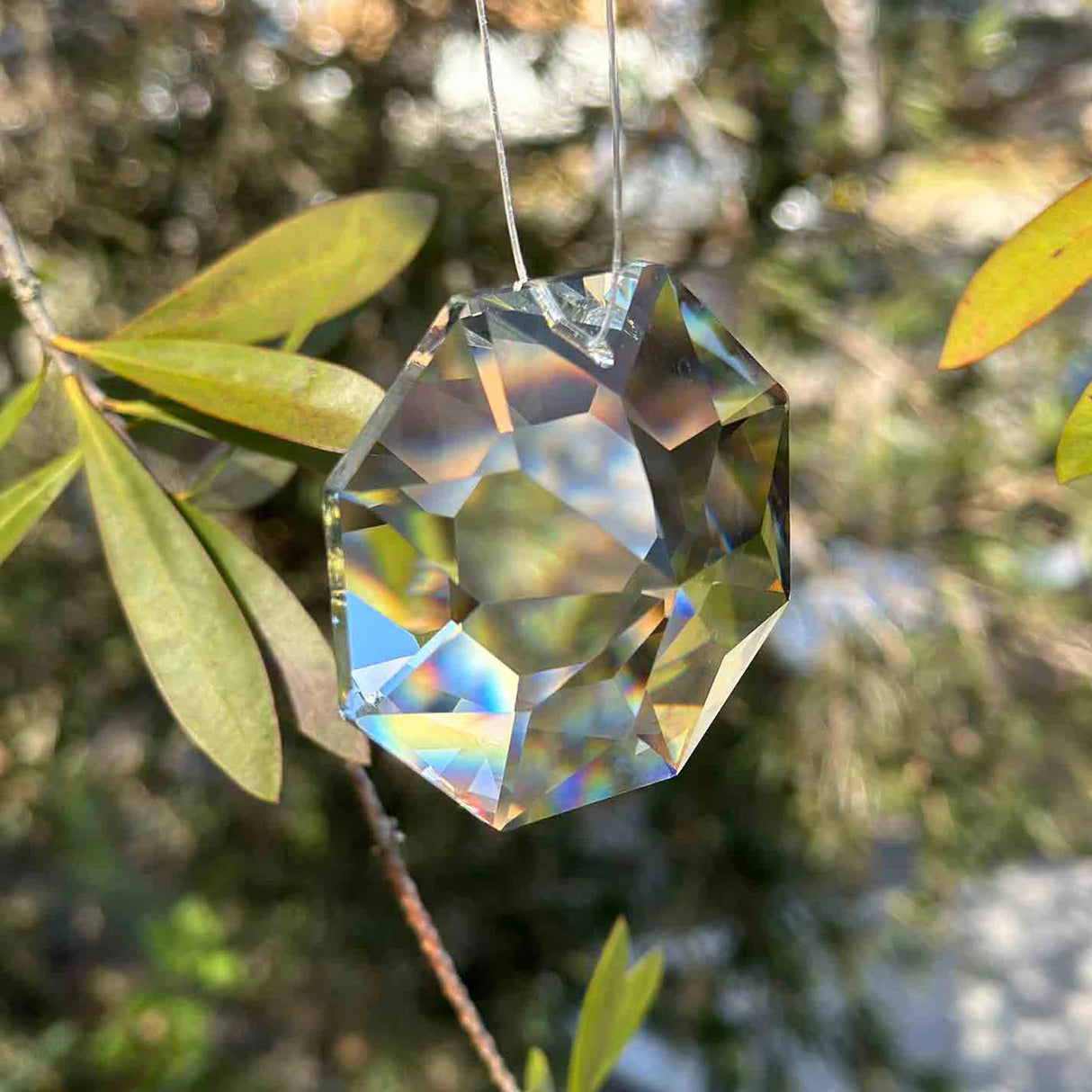 Rainbow Catcher Crystal