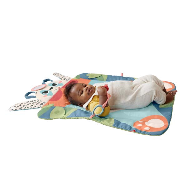 Fisher-Price Roly-Poly Panda Play Mat
