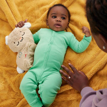 Fisher-Price Sensimals Soothing Plush