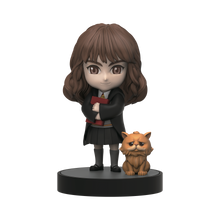 Yume Hero Box Harry Potter - Classic Series Hermione