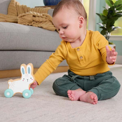 Fisher-Price Wooden Push-Along Bunny