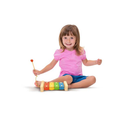 Bluey’s Magic Xylophone