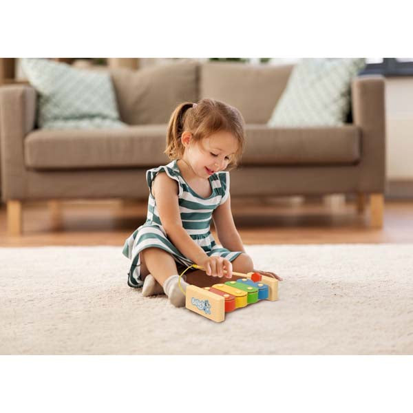 Bluey’s Magic Xylophone