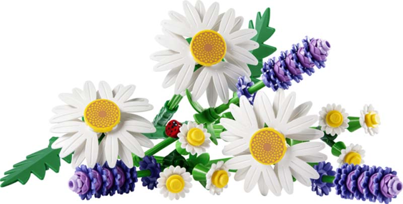 LEGO Botanicals Daisies