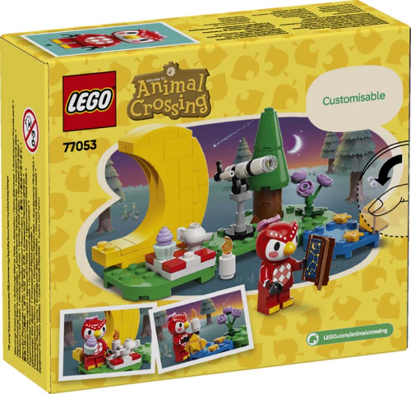 LEGO Animal Crossing Stargazing with Celeste