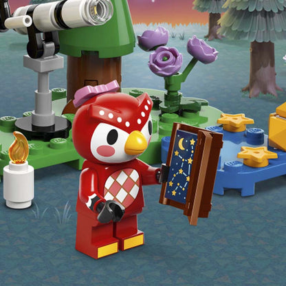 LEGO Animal Crossing Stargazing with Celeste