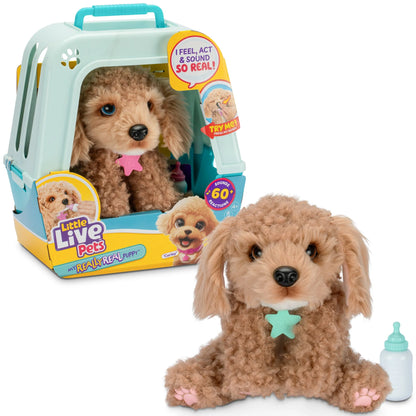 Little Live Pets My Really Real Puppy Curley