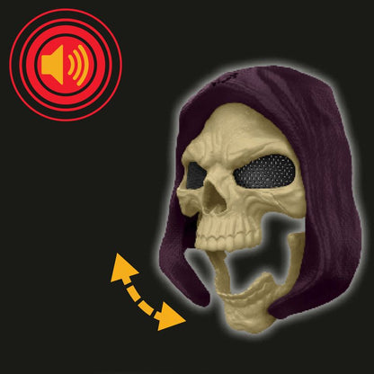Masters Of The Universe Skeletor Talking Mask