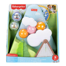 Fisher-Price Friendship Forest Ball Drop Mountain Developmental Activity Toy for Baby