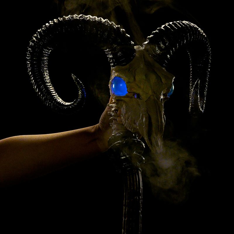 Masters of the Universe Deluxe Movie Havoc Staff for Collector Role Play