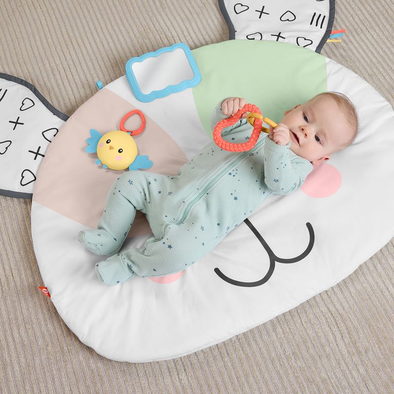 Fisher-Price Puppy Perfection Giant Play Mat for Newborn Tummy Time