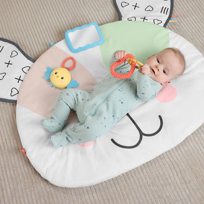 Fisher-Price Puppy Perfection Giant Play Mat for Newborn Tummy Time