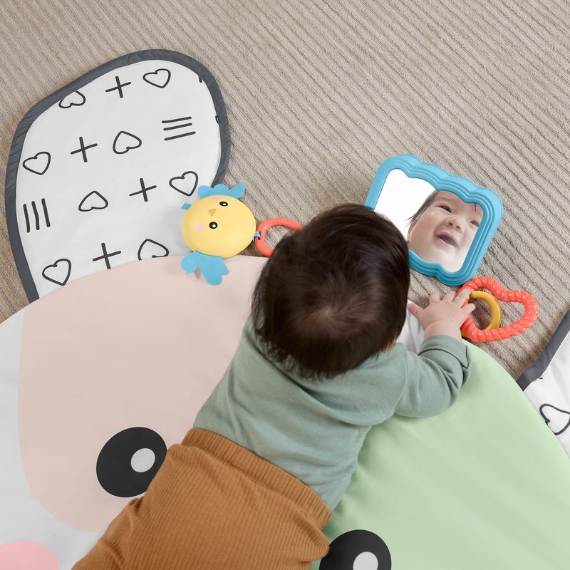 Fisher-Price Puppy Perfection Giant Play Mat for Newborn Tummy Time