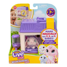 Little Live Pets Mama Surprise Bunny Mini Playset