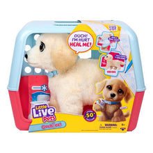 Little Live Pets Ouchies Single Pack