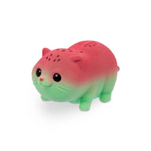 Little Live Pets S2 Lil Needees Splashee Otter