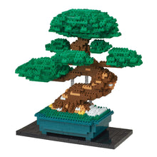 nanoblock Bonsai Matsu Deluxe