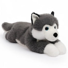 One Love Scout Husky