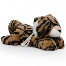 One Love Zenda Tiger