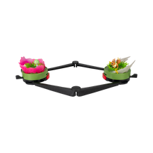 Pokemon Battle Disc Showdown Game Eevee VS Ralts