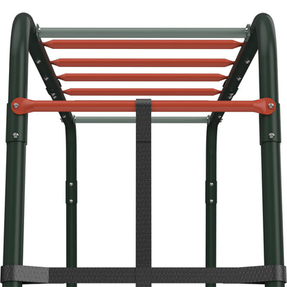 Plum Metal Monkey Bars