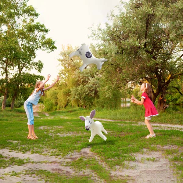 Pass the Sheep Pass the Sheep Giant Inflatable