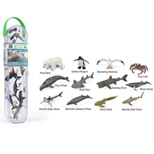 Collecta Marine Set 3 12 Piece