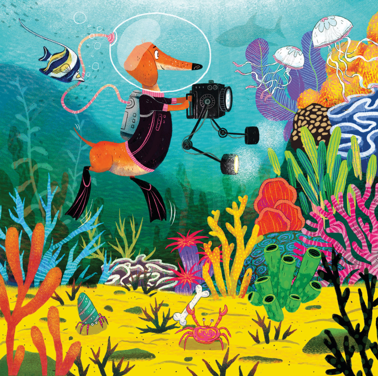 Ravensburger Animal Explorers Puzzle 3x49 Pieces