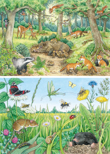 Ravensburger Animals In Forest 2x12p