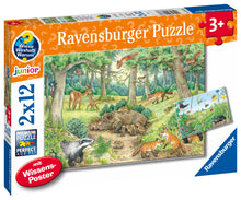 Ravensburger Animals In Forest 2x12p