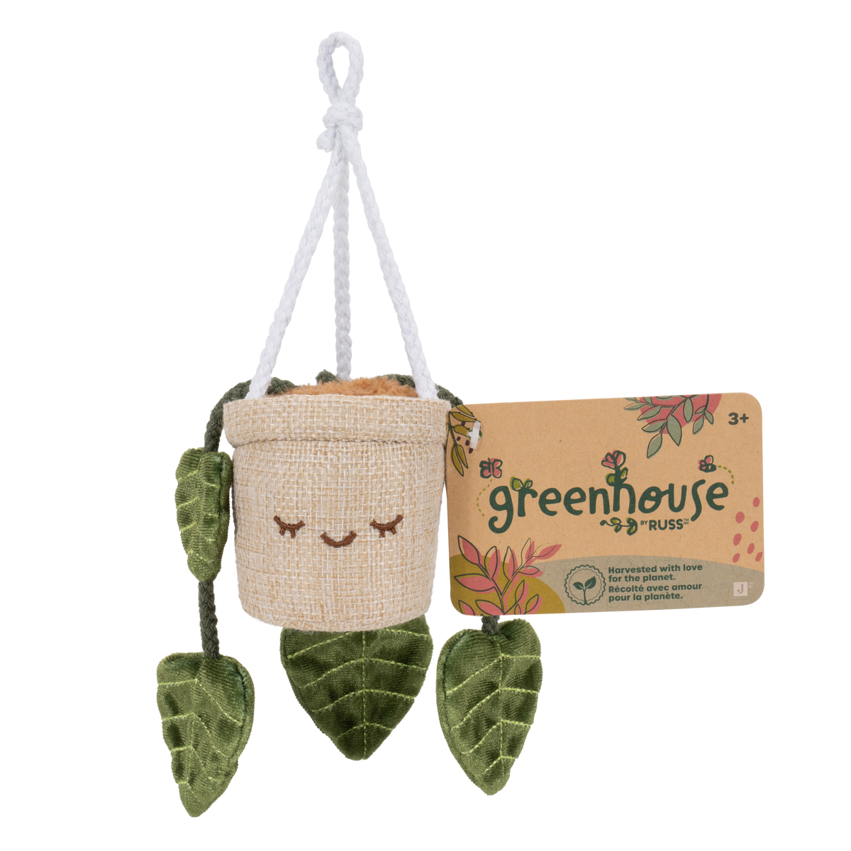 Greenhouse 4" Hanging Plants Adela