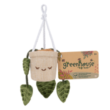 Greenhouse 4" Hanging Plants Adela