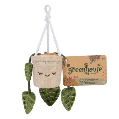 Greenhouse 4" Hanging Plants Adela