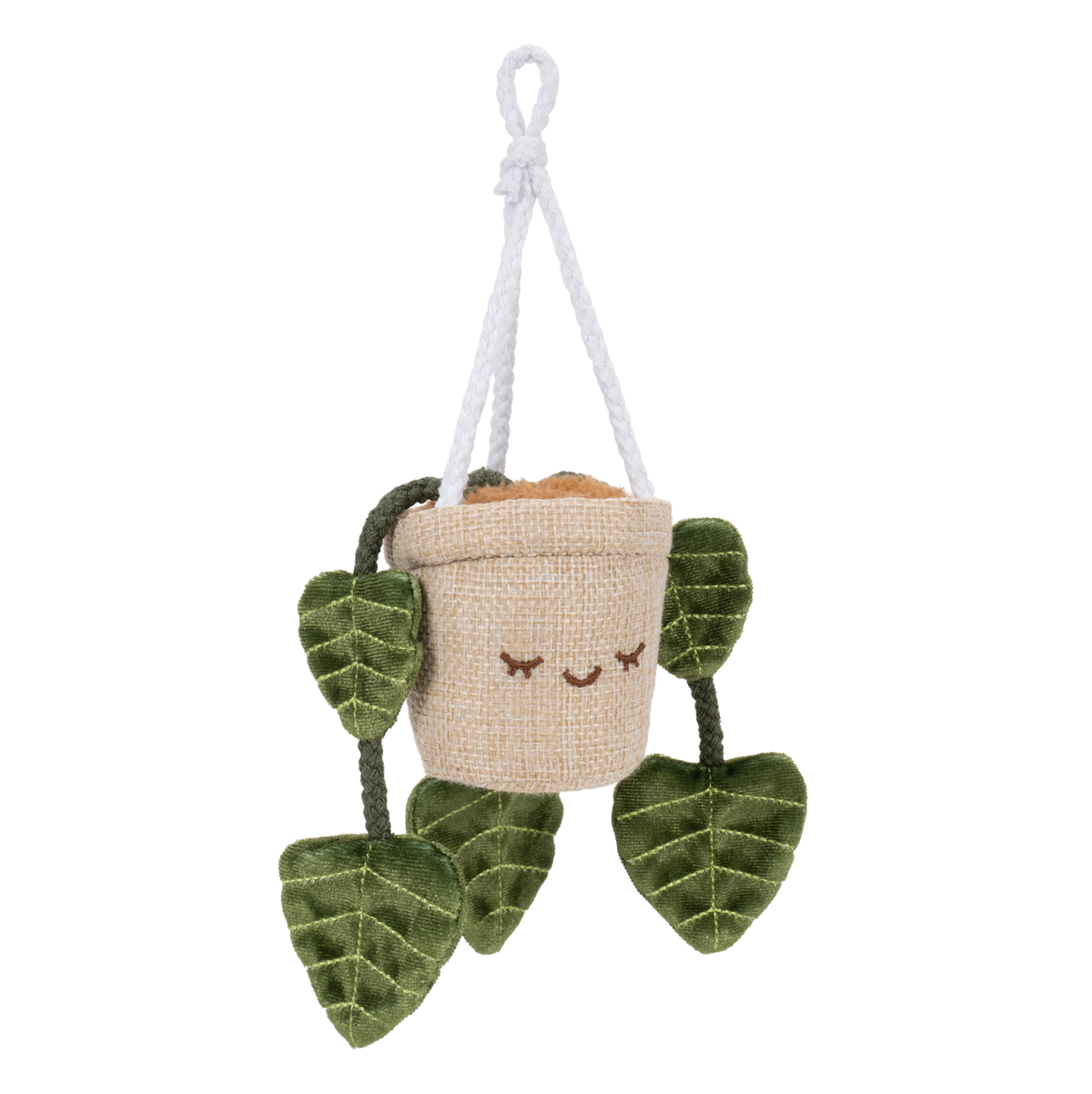 Greenhouse 4" Hanging Plants Adela