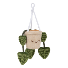 Greenhouse 4" Hanging Plants Adela