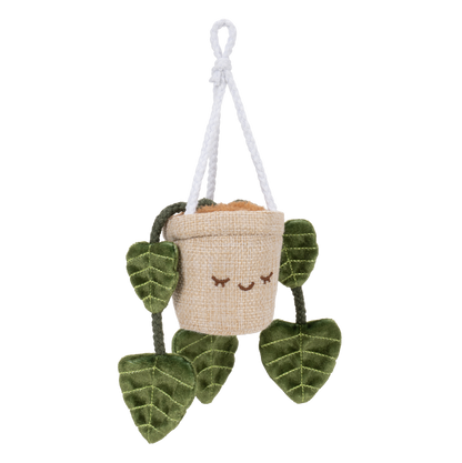 Greenhouse 4" Hanging Plants Adela