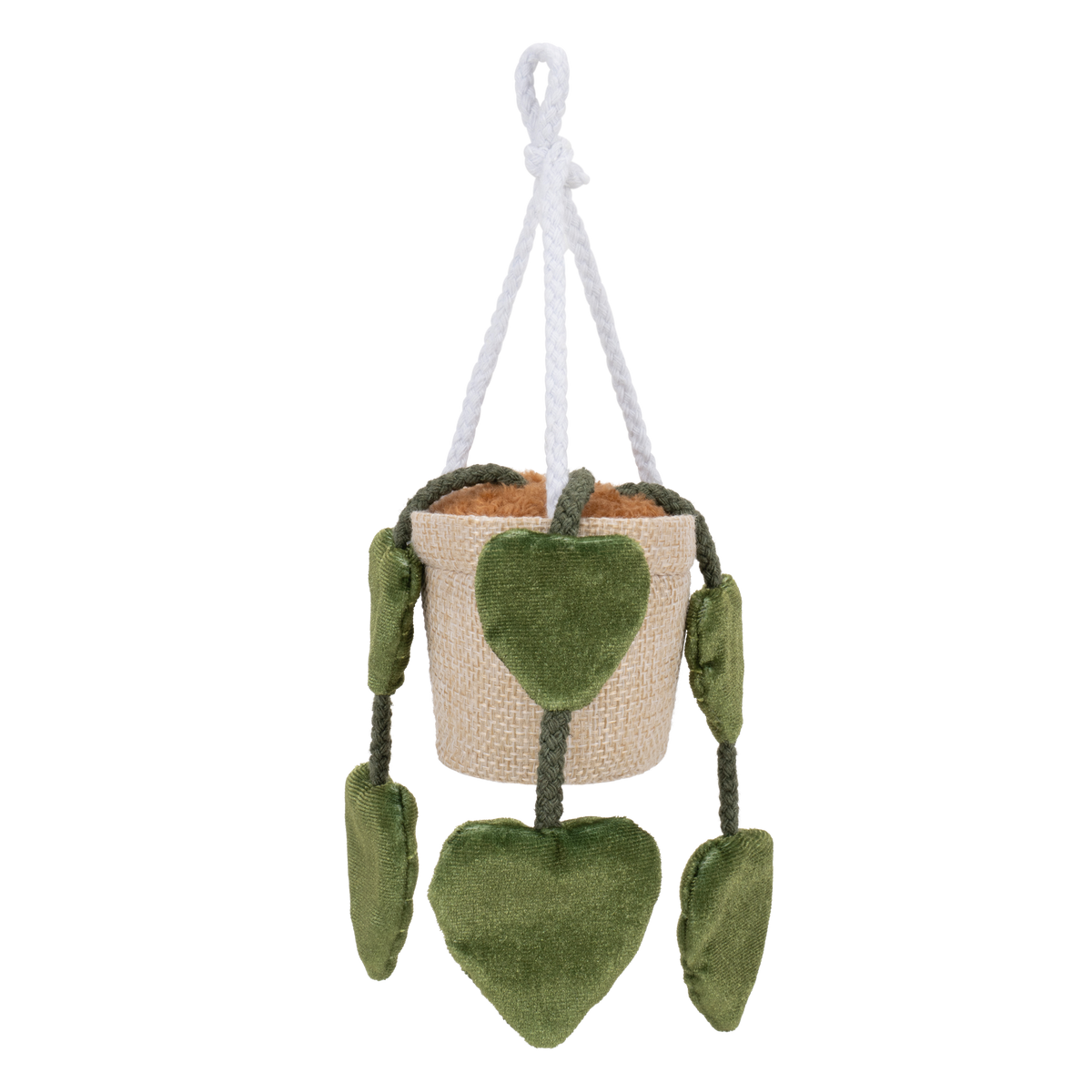 Greenhouse 4" Hanging Plants Adela