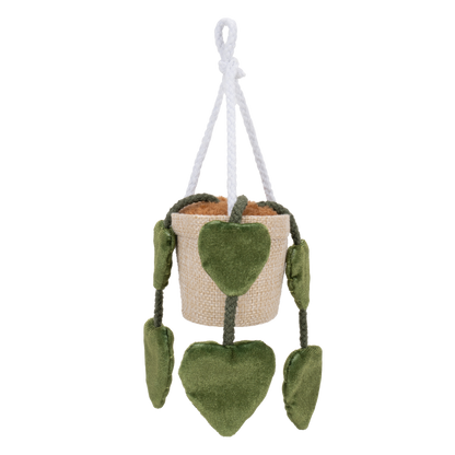 Greenhouse 4" Hanging Plants Adela