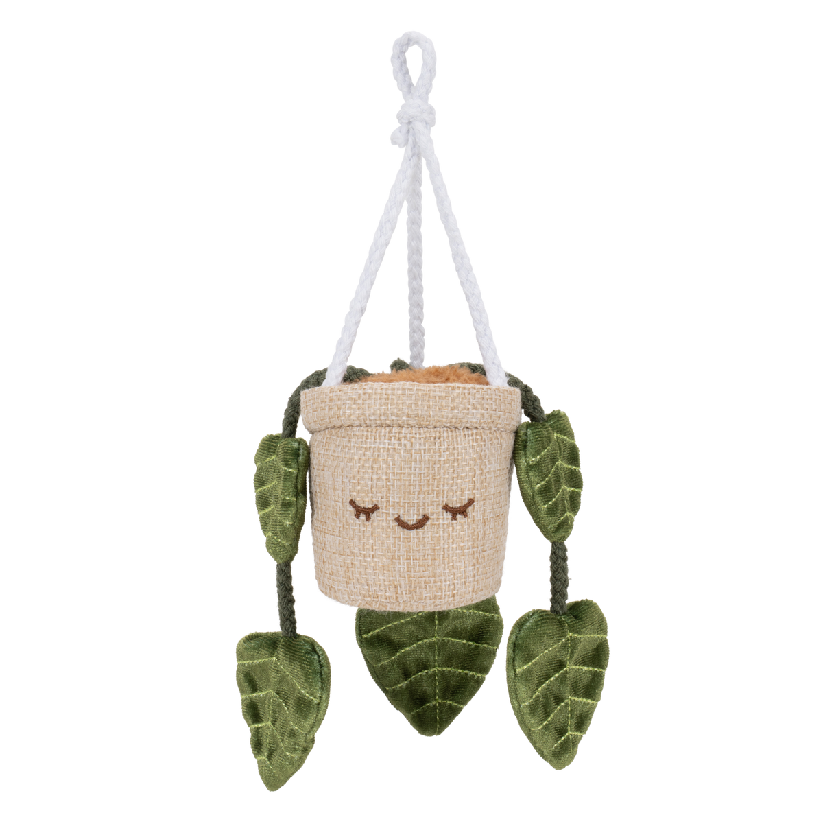 Greenhouse 4" Hanging Plants Adela