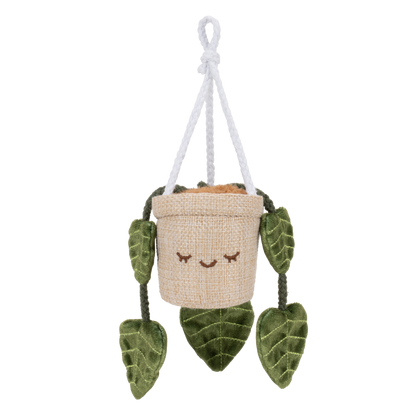 Greenhouse 4" Hanging Plants Adela