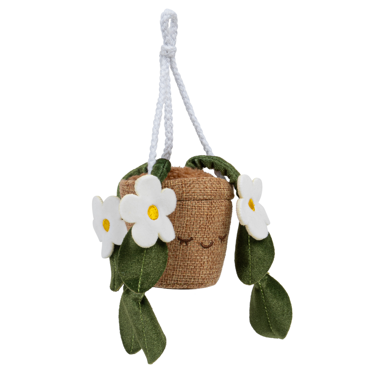 Greenhouse 4" Hanging Plants Dorothea