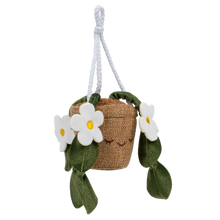 Greenhouse 4" Hanging Plants Dorothea
