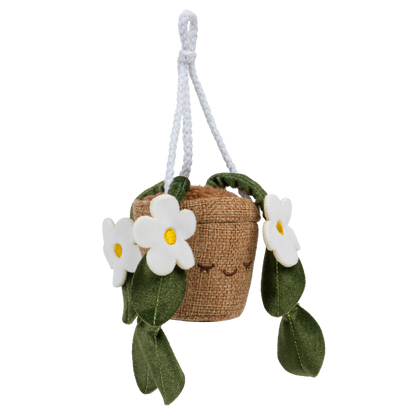 Greenhouse 4" Hanging Plants Dorothea