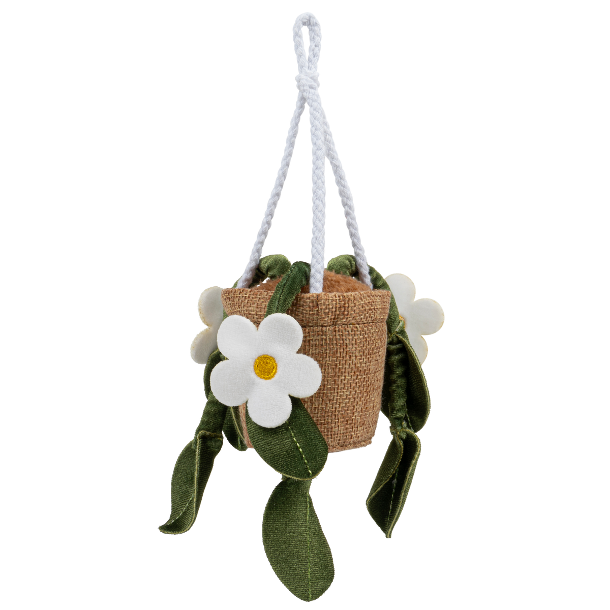 Greenhouse 4" Hanging Plants Dorothea
