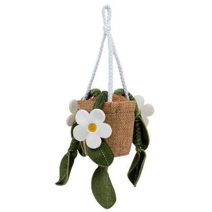 Greenhouse 4" Hanging Plants Dorothea