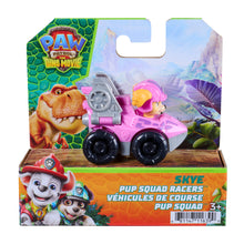 Paw Patrol The Dino Movie Dino Pup Squad Racers Skye