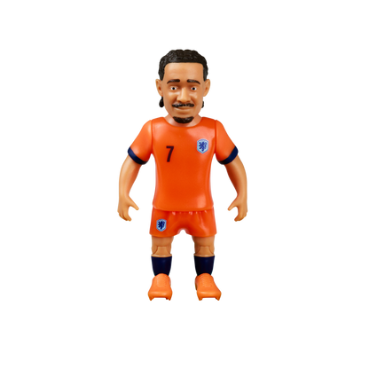 Supergoal Shoe Capsule